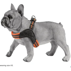 Annitaño, Dog accessories, Pet accessories