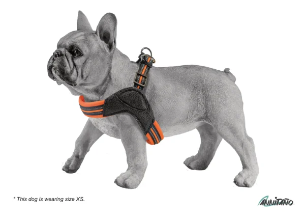 Annitaño, Dog accessories, Pet accessories