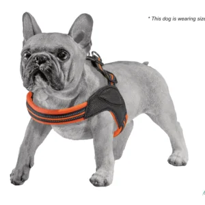 Annitaño, Dog accessories, Pet accessories