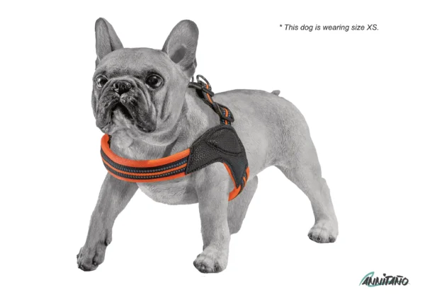 Annitaño, Dog accessories, Pet accessories